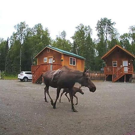 Hotel Talkeetna Love-Lee Cabins Exteriér fotografie