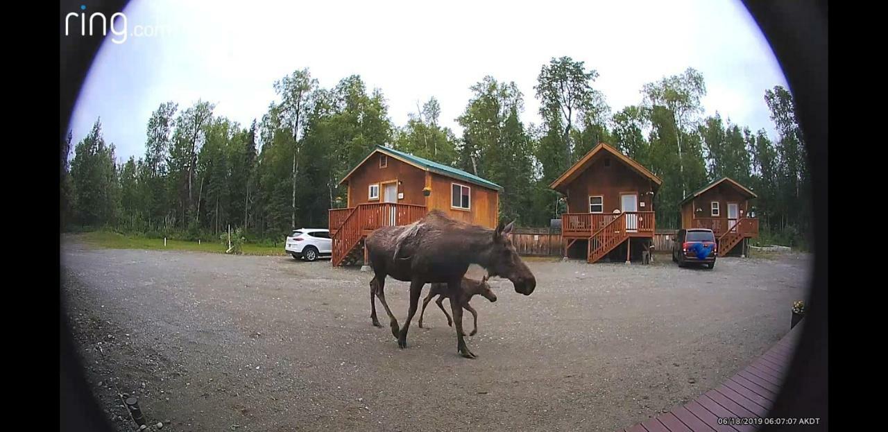Hotel Talkeetna Love-Lee Cabins Exteriér fotografie
